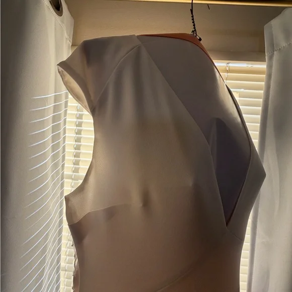 Pronovias Barcelona Cream Lace with Intricate Patterns - Picture 13 of 16